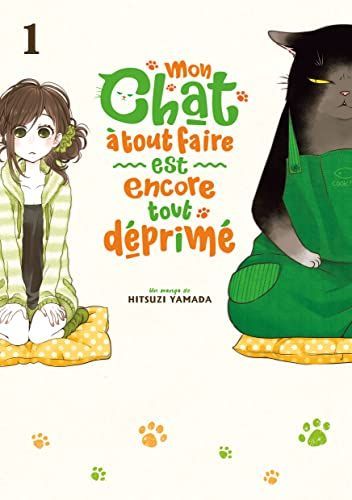 Mon chat à tout faire est encore tout déprimé