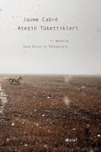Atesin Tükettikleri