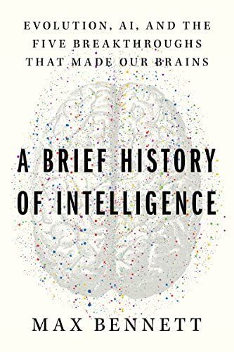 Brief History of Brains