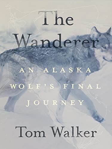 Wanderer