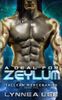 A Deal for Zeylum