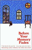 Before Your Memory Fades