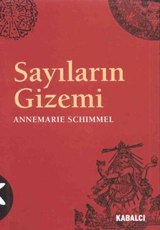 Sayıların gizemi