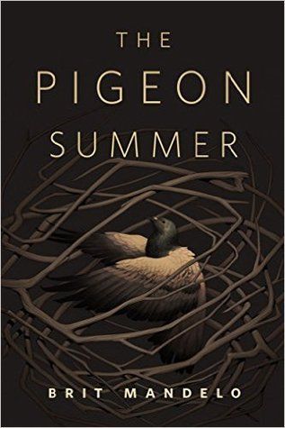 The Pigeon Summer