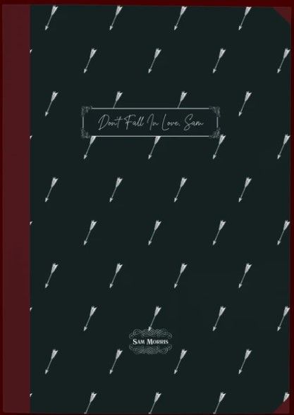 Don't Fall in Love, Sam