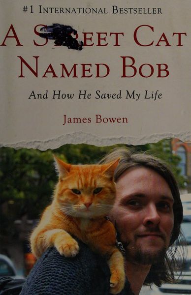 A Street Cat Named Bob