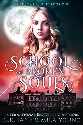 School of Broken Souls