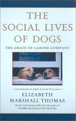 The Social Lives of Dogs