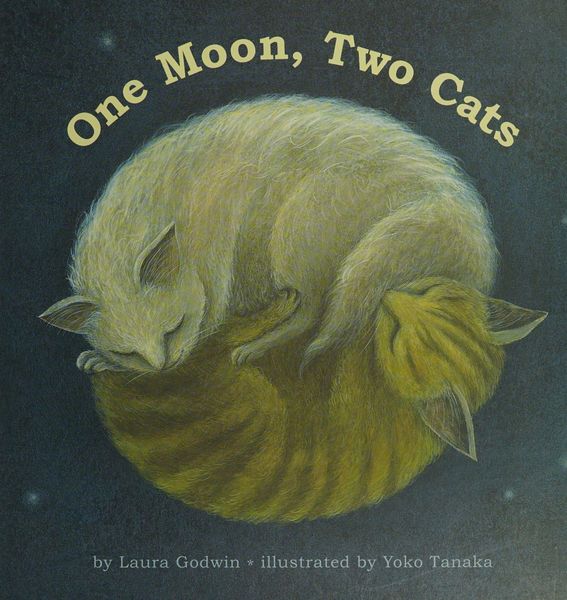 One Moon, Two Cats