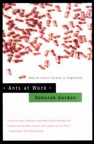 Ants at Work