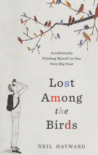 Lost Among the Birds