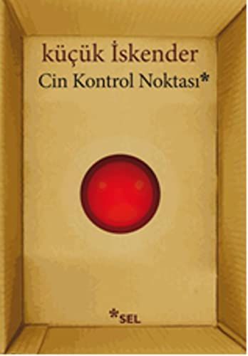 Cin Kontrol Noktasi