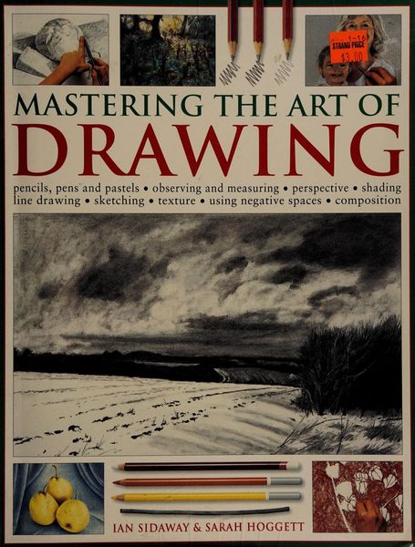 Mastering the Art of Drawing