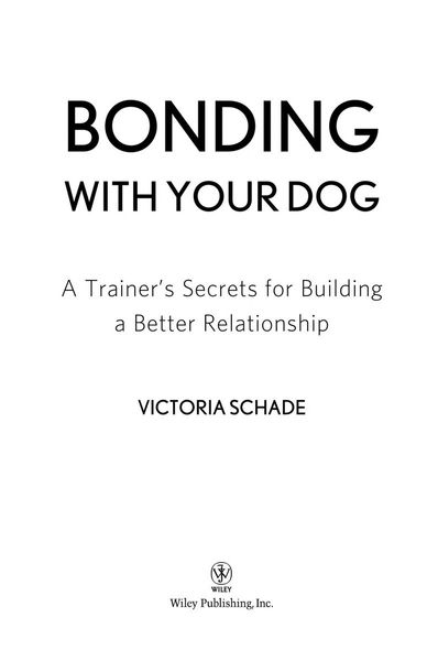 Bonding with Your Dog