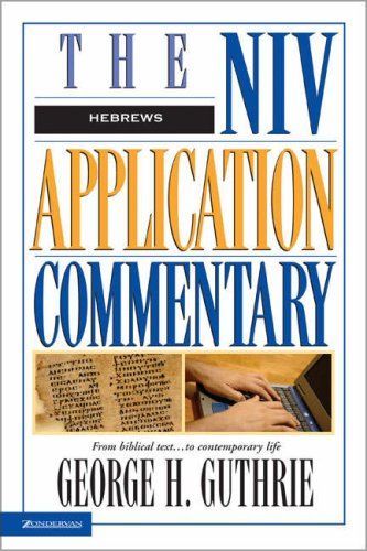 NIV Application Commentary