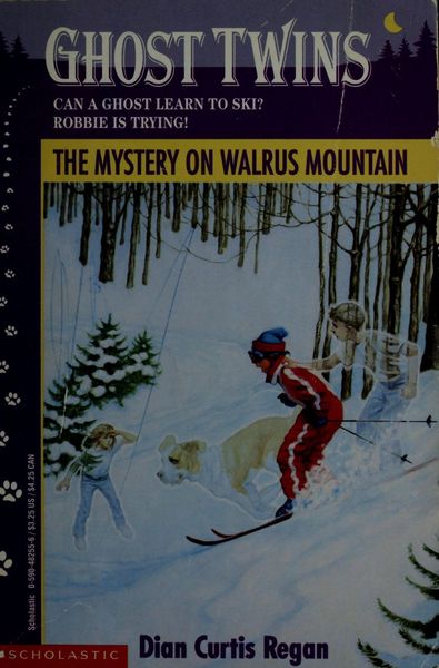 The Mystery on Walrus Mountain (Ghost Twins Book, No 3)