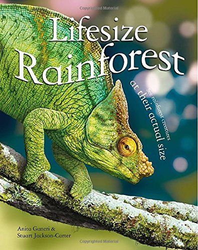 Lifesize: Rainforest: See Rainforest Creatures at Their Actual Size