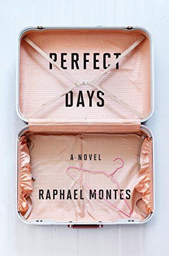 Perfect Days: A Novel