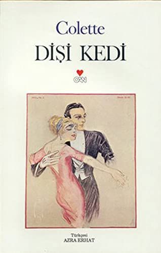 Disi Kedi