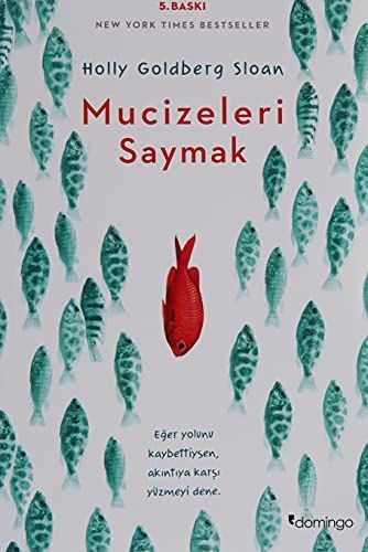 Mucizeleri Saymak