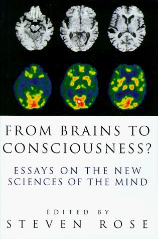 From Brains to Consciousness? Essays on the New Sciences of the Mind