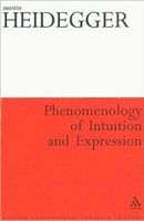 Phenomenology of intuition and expression