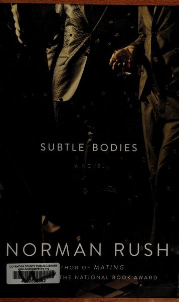 Subtle bodies