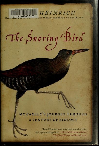 The snoring bird