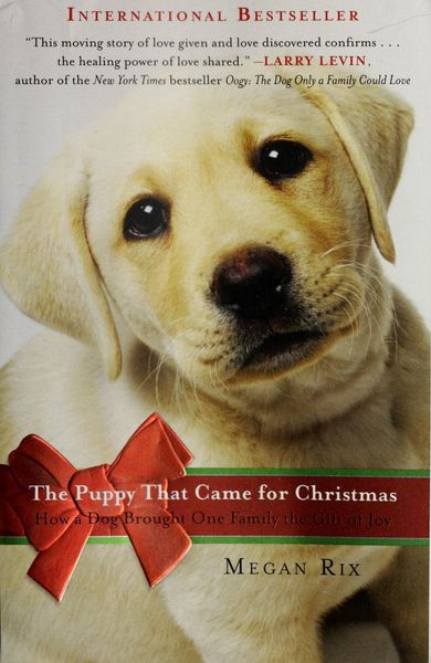 The puppy that came for christmas