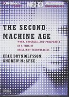 The Second Machine Age