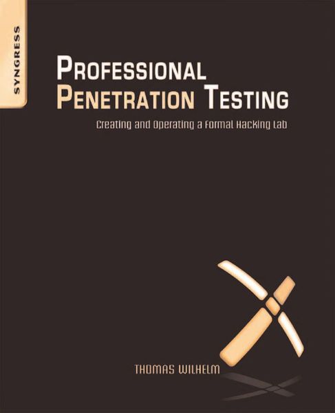 Professional penetration testing