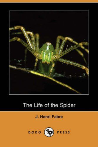 The Life of the Spider