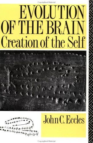 Evolution of the Brain
