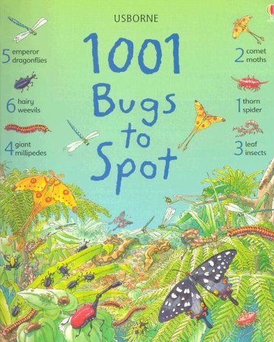 1001 Bugs To Spot