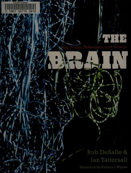 The brain