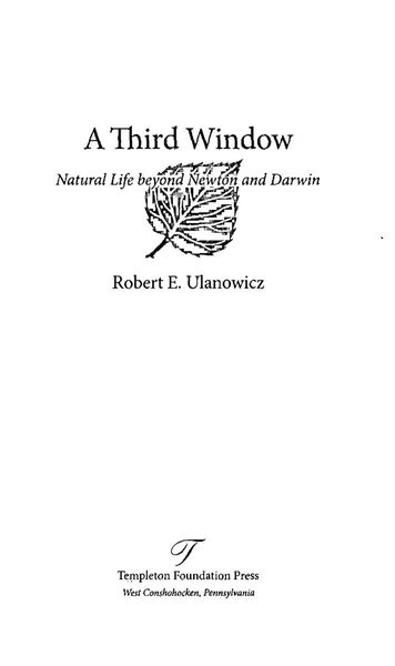 A third window