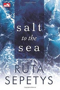 Salt to the Sea