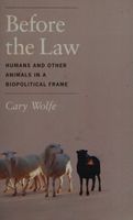 Before the Law