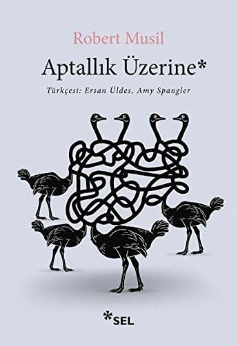Aptallik Üzerine
