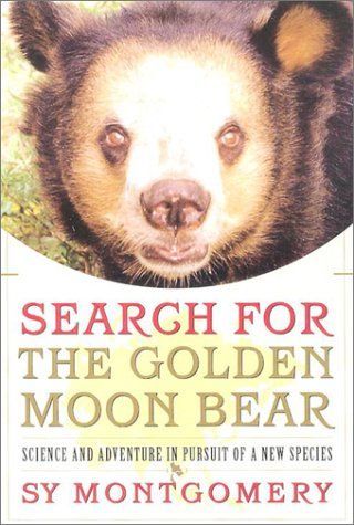 Search for the Golden Moon Bear