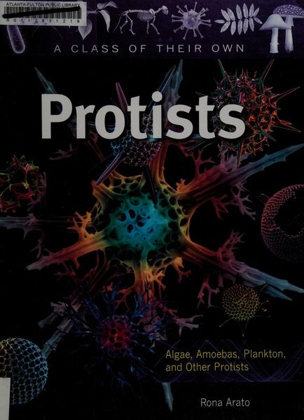 Protists