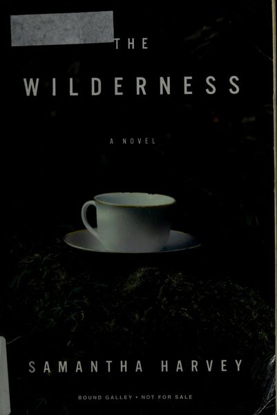 The wilderness