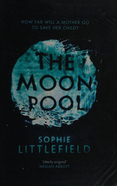 The moon pool