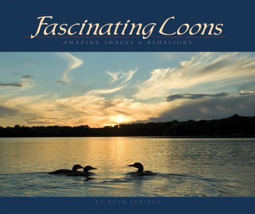 Fascinating Loons