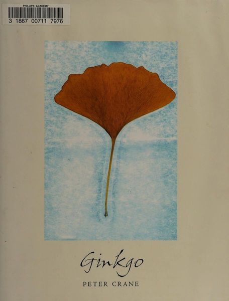 Ginkgo