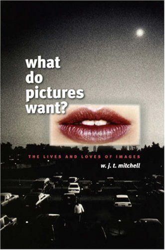 What Do Pictures Want?