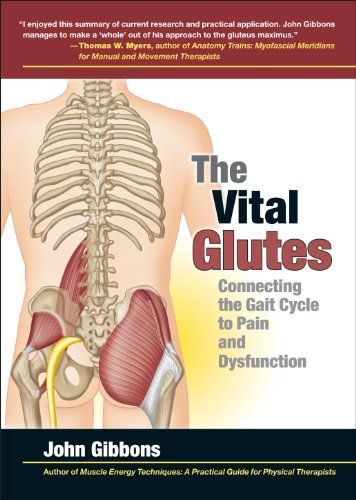 The Vital Glutes