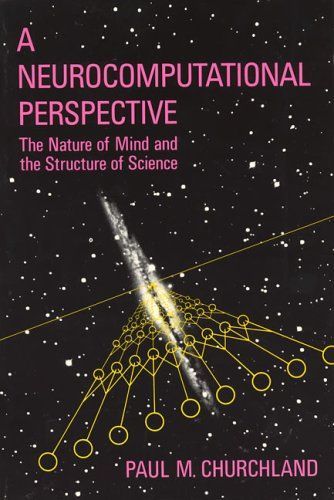 A Neurocomputational Perspective