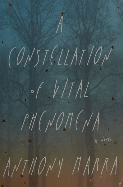 A constellation of vital phenomena