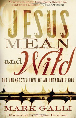 Jesus Mean and Wild